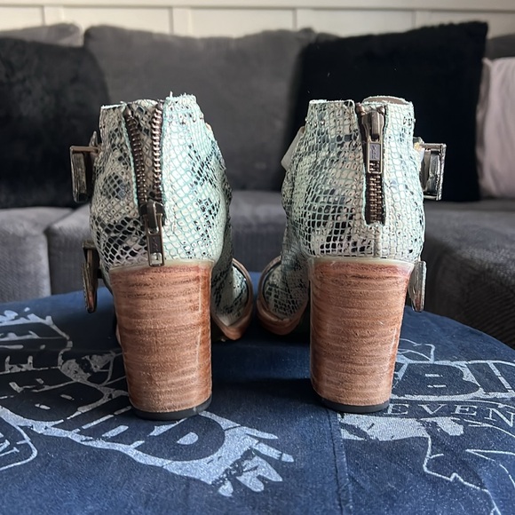 FREEBIRD by Steven Violet - Picture 3 of 6